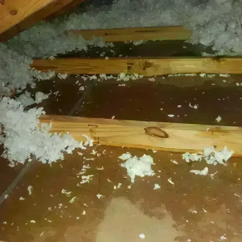 Attic Water Damage in Freeburg, IL