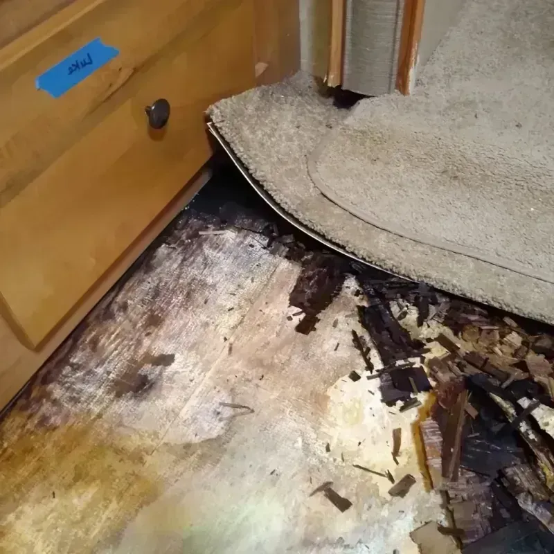 Best Wood Floor Water Damage Service in Freeburg, IL